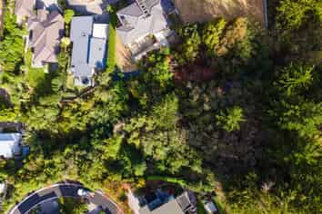 6 Plumwood Lane, Cashmere