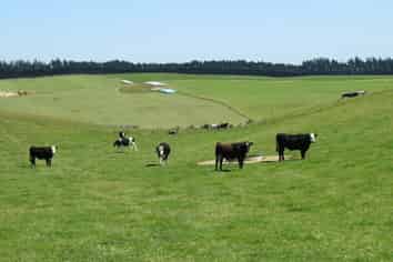 150 Tramway Road, Winton Surrounds
