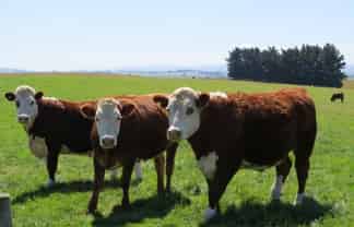 150 Tramway Road, Winton Surrounds