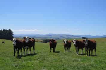 150 Tramway Road, Winton Surrounds
