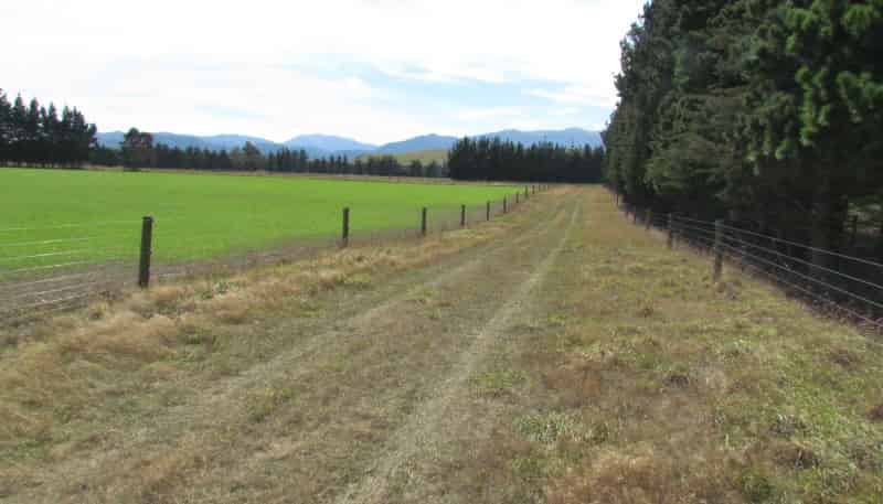 284 Waimakariri Gorge Road, 