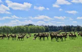 150 and 19 Breeze Road, Ryal Bush