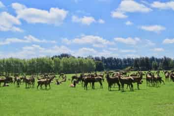 150 and 19 Breeze Road, Ryal Bush