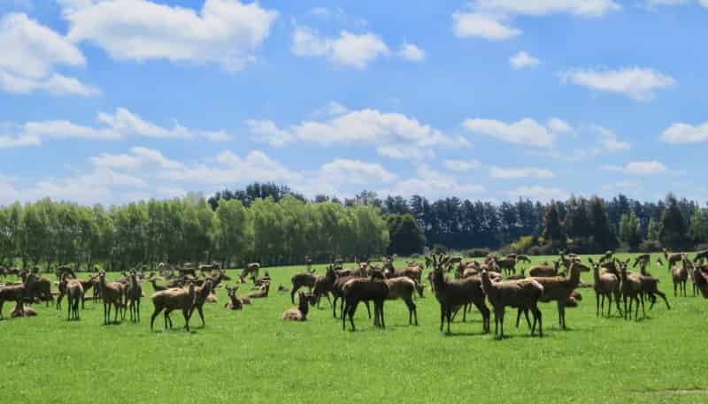 150 and 19 Breeze Road, Ryal Bush