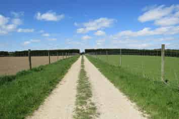 150 and 19 Breeze Road, Ryal Bush