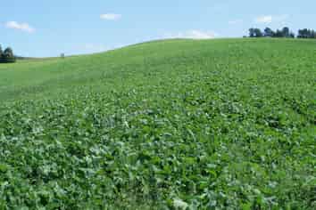 511 Wilanda Downs Road, Ohai