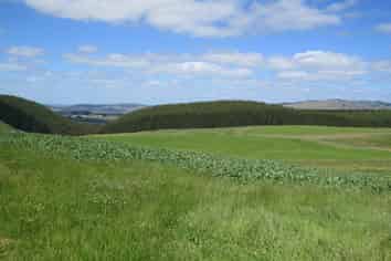 511 Wilanda Downs Road, Ohai