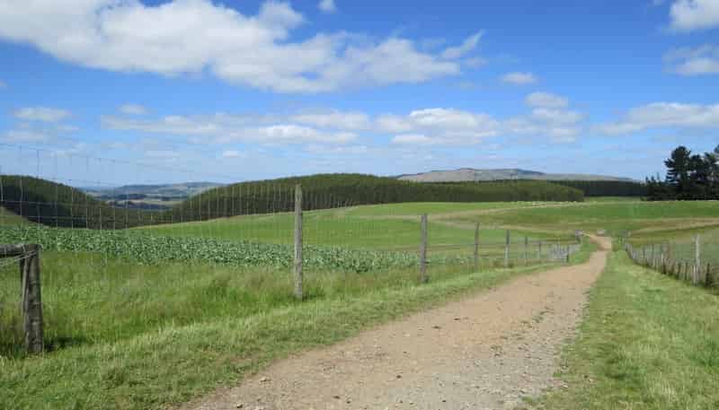 511 Wilanda Downs Road, Ohai