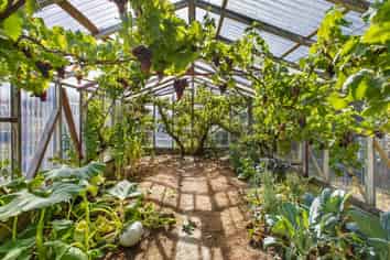 4 Davis Avenue, Ranfurly