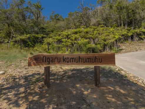 Lot 1, 1 Orchard Road, Hahei