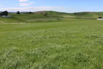 428 Wairuna Settlement Road, Clinton and Surrounds