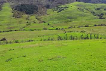 36 Te Moho Road, Taipa