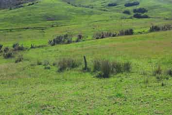 36 Te Moho Road, Taipa