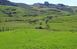 36 Te Moho Road, Taipa