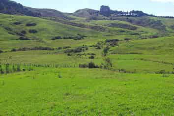 36 Te Moho Road, Taipa