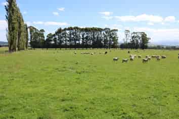 Block C, Knowles Road, Tapanui