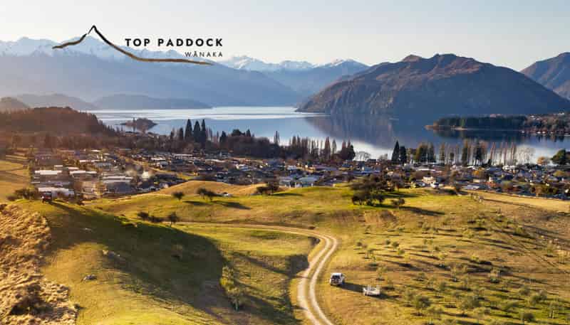   Top Paddock, Wanaka