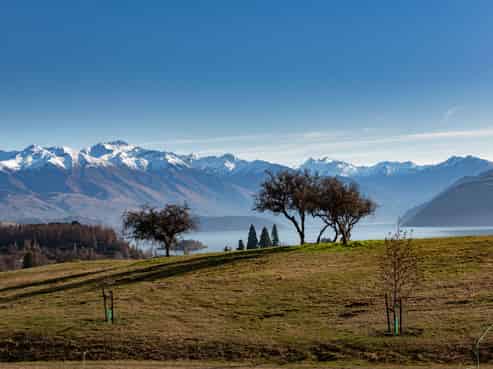   Top Paddock, Wanaka