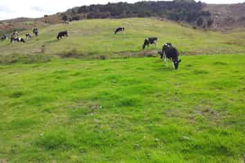 36 Te Moho Road, Taipa