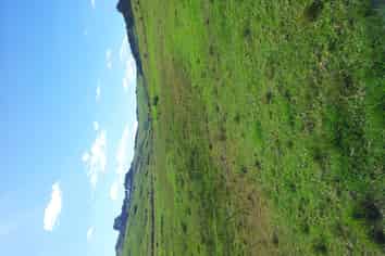 36 Te Moho Road, Taipa