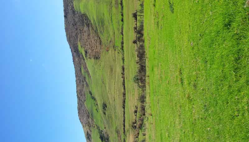 36 Te Moho Road, Taipa