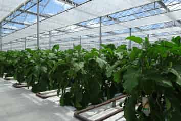 121 Poerua River Road, Harihari