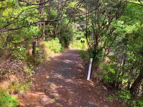 5 Harpoon Hill, Great Barrier Island