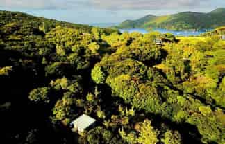 5 Harpoon Hill, Great Barrier Island