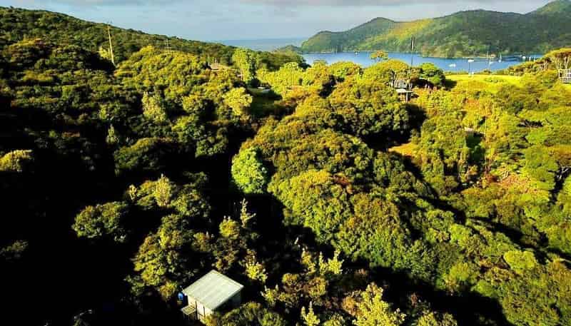 5 Harpoon Hill, Great Barrier Island