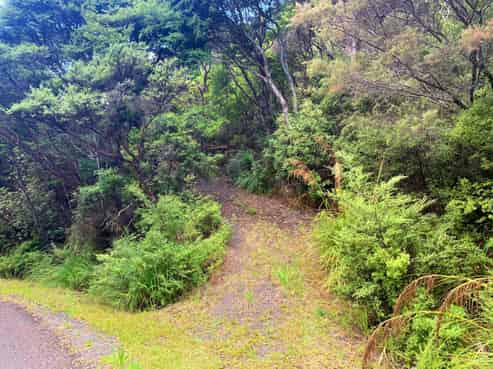 5 Harpoon Hill, Great Barrier Island