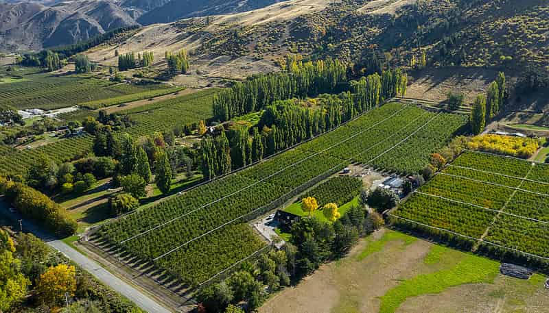 284 Ripponvale Road, Cromwell