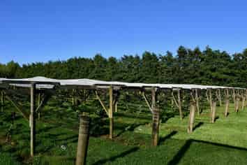 129 Oparara Road: Bakers Creek Orchard, Karamea