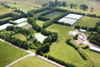 129 Oparara Road: Bakers Creek Orchard, Karamea