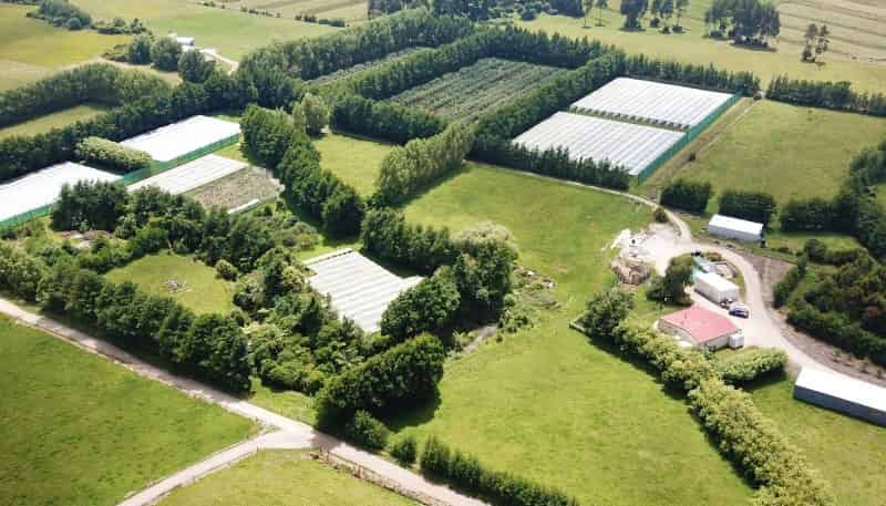 129 Oparara Road: Bakers Creek Orchard, Karamea