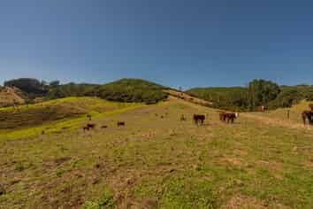 510 & 550 Black Jack Road, Opito Bay