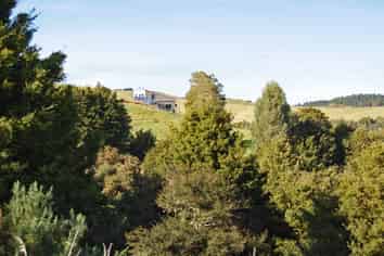 112 Tawa Avenue, Kaiwaka