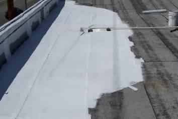 Earn While You Learn ROI 51%