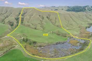 Lot 3 State Highway 4, Taumarunui