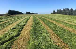 98 McIntosh Road, Otautau