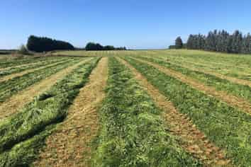 98 McIntosh Road, Otautau