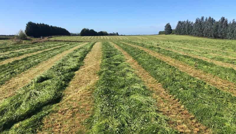 98 McIntosh Road, Otautau