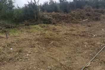 17 Manawanui Way, Orewa