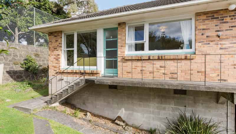 1/872B Dominion Road, Mount Eden