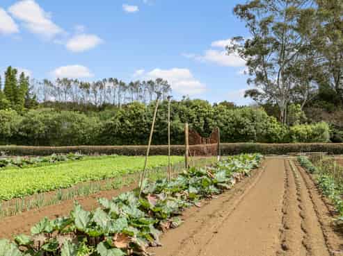 20 Ness Road, Kerikeri