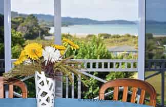 4 Goebel Street, Tinopai