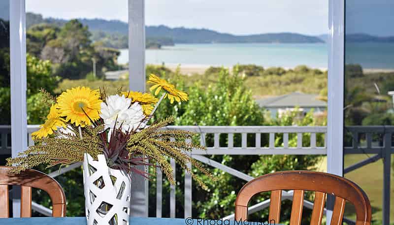 4 Goebel Street, Tinopai