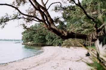 1D/32 Shelly Beach Road, Saint Marys Bay