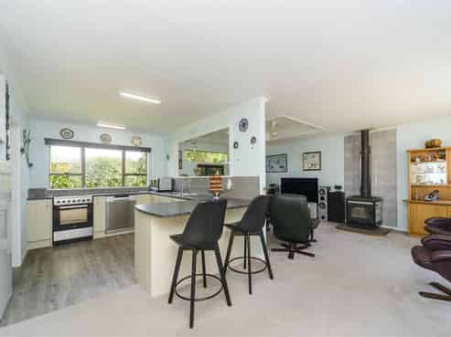 9 Pain Street, Bulls