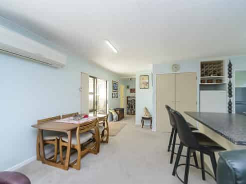 9 Pain Street, Bulls