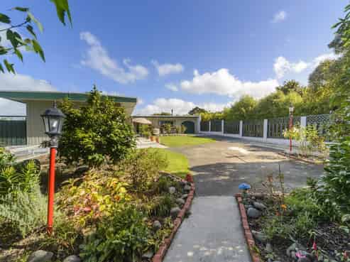 9 Pain Street, Bulls